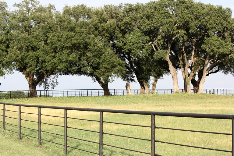 Barns (Weatherford, Texas, United States)