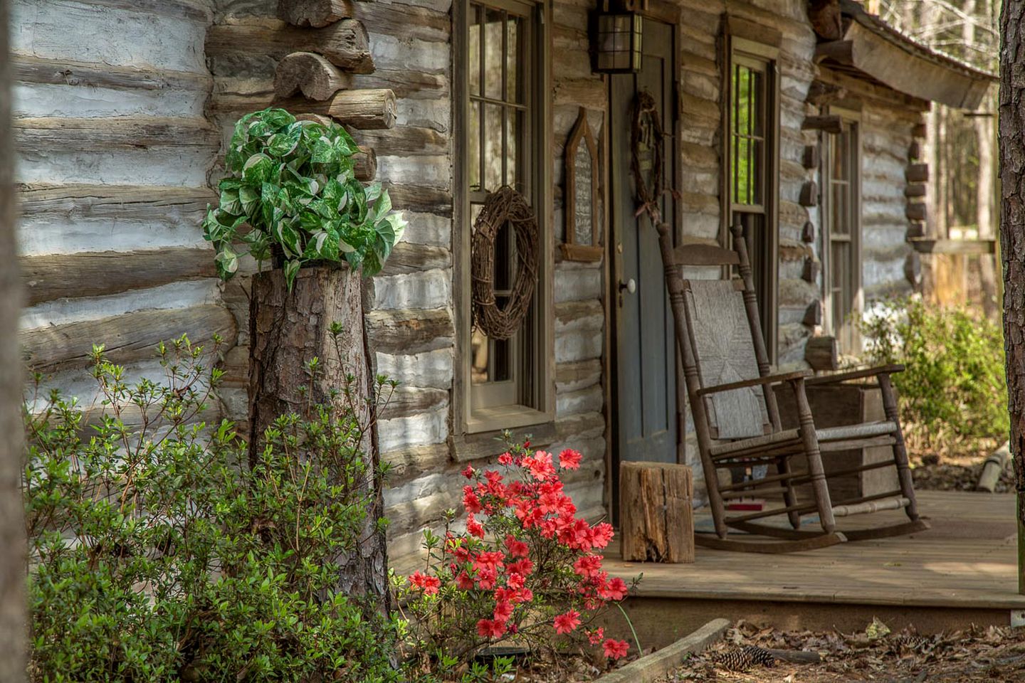 Lovely Pet-Friendly Log Cabin Getaway with Fishing Ponds in Thomaston, Georgia