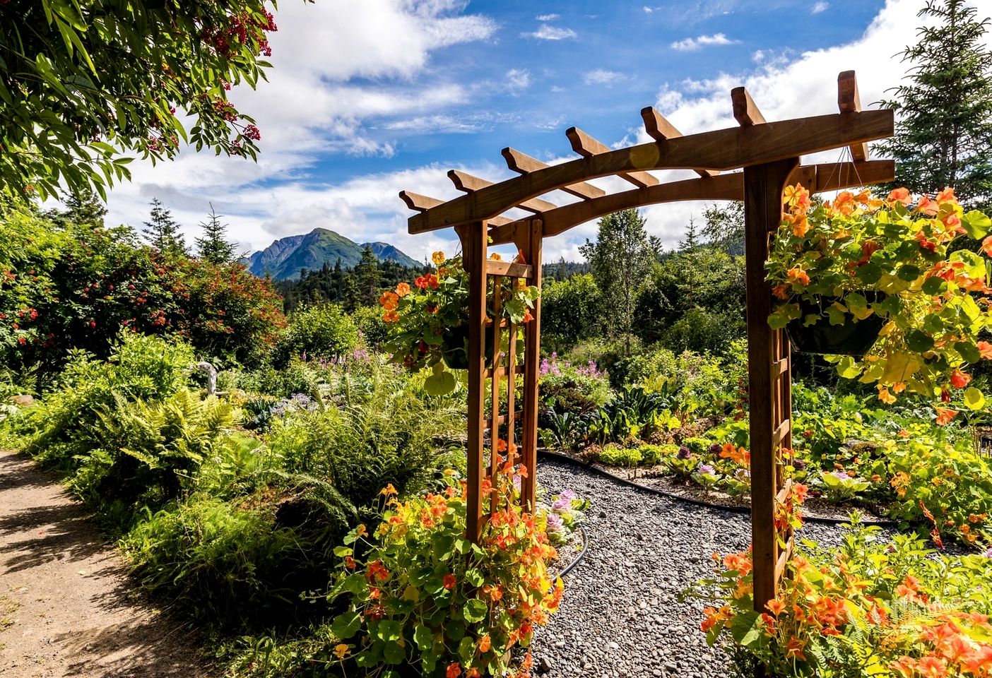 Rustic Cabin Rental with Mountain Views in Kachemak Bay State Park in Alaska