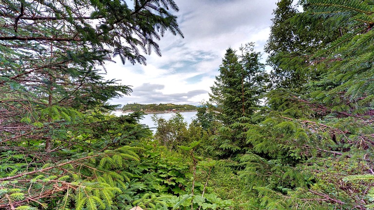 Cabins (Halibut Cove, Alaska, United States)