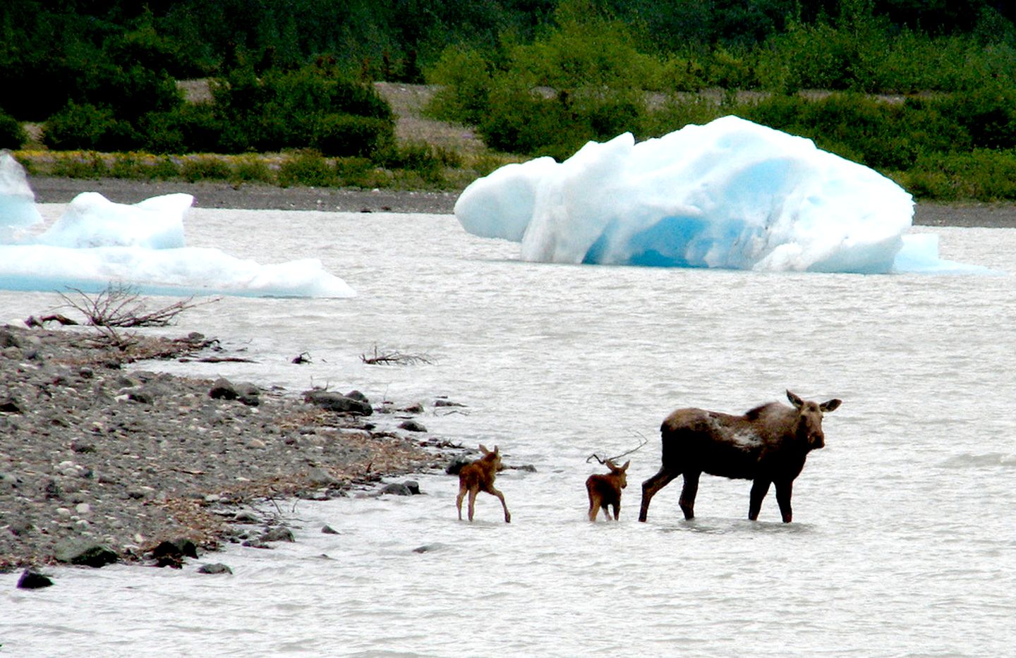 Waterfront Cabin Rental for One in Kenai Peninsula Borough, Alaska