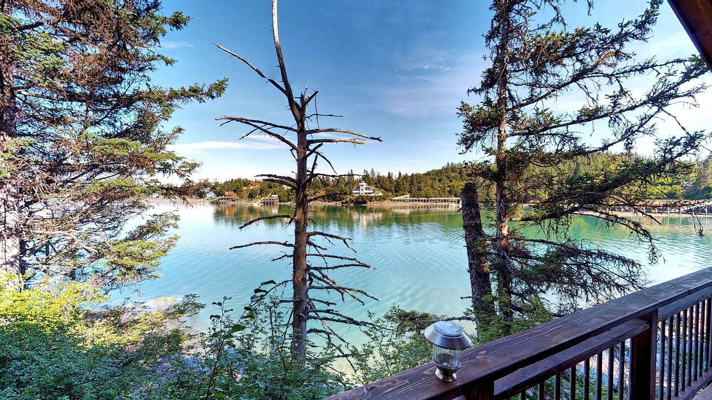 Ocean-View Cabin Rental with Beach Access in Halibut Cove, Alaska
