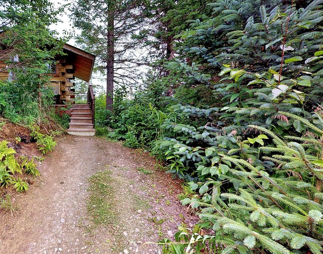 Cabins (Halibut Cove, Alaska, United States)
