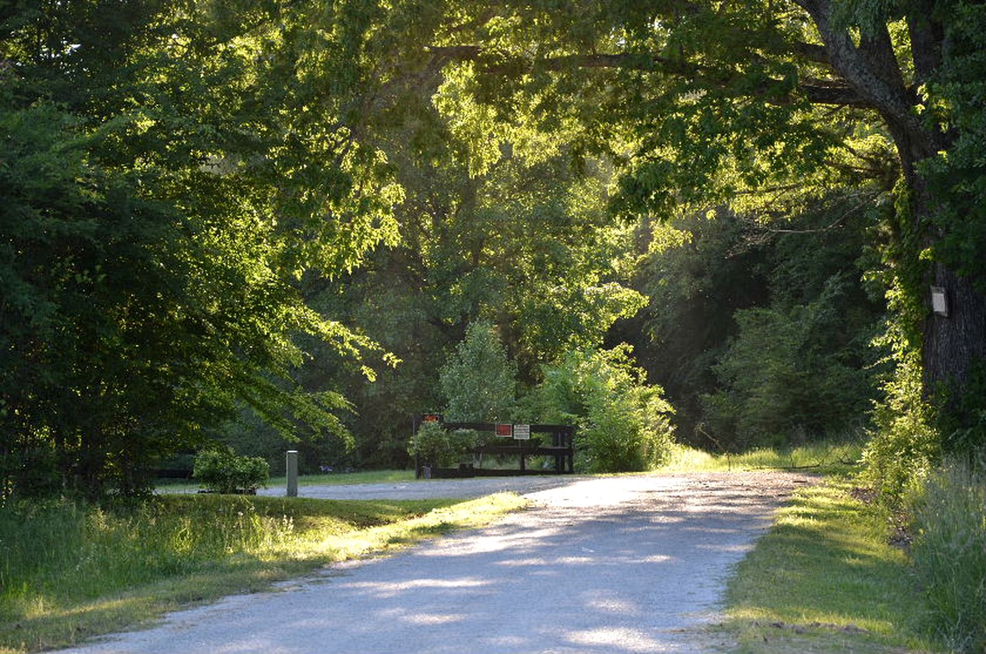 Cottage Rental with a Clawfoot Tub on a Working Farm in West Tennessee