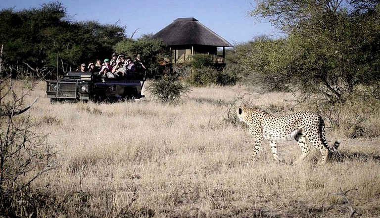 Huts (Hoedspruit, Limpopo, South Africa)