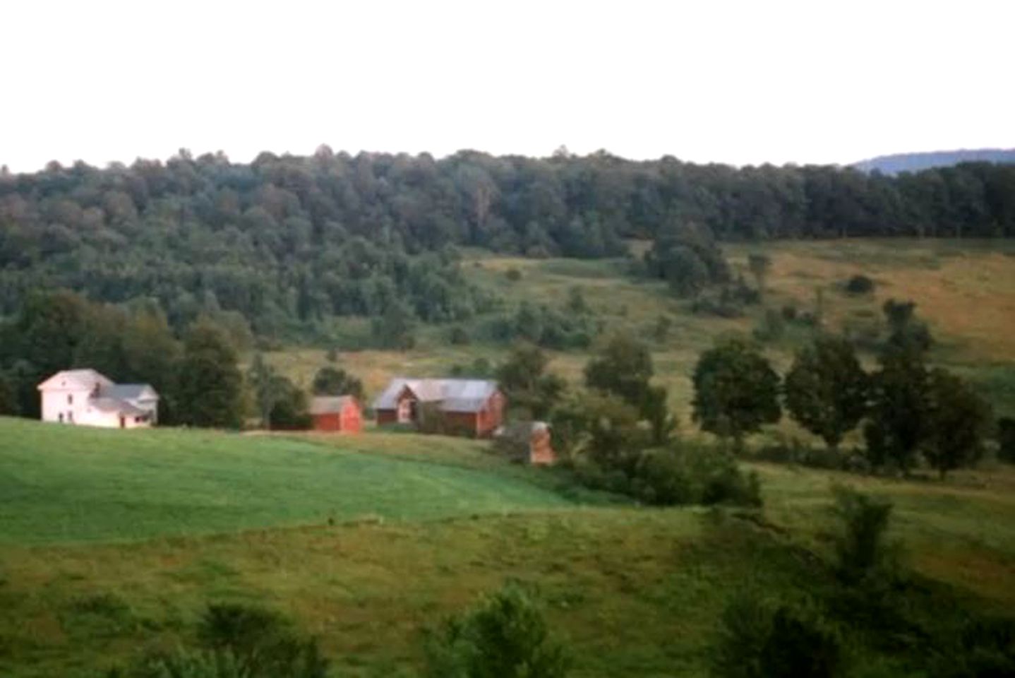 Picturesque Bed and Breakfast on a Farm in East Meredith, New York