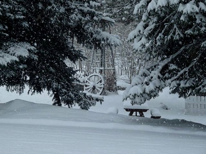 Nature Lodges (Story, Wyoming, United States)