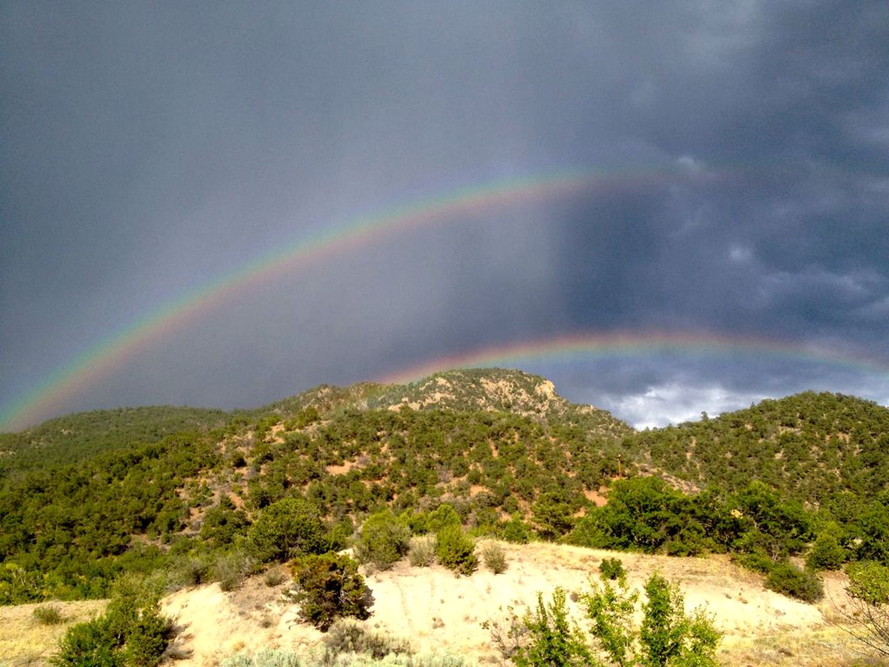 Superb Getaway Cabin Nestled in Santa Fe National Forest, New Mexico