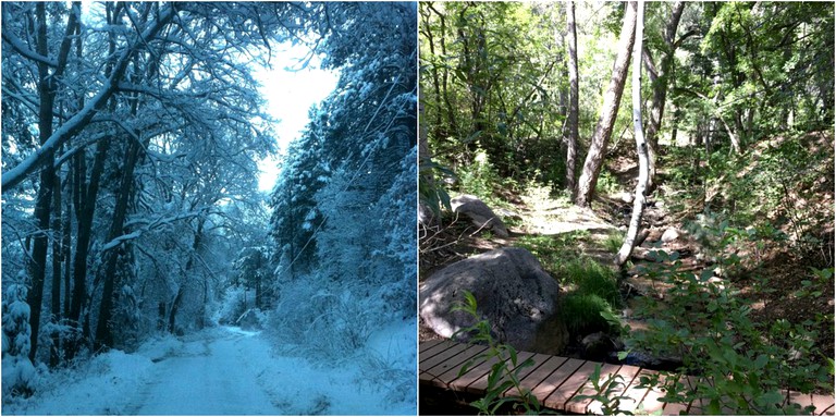 Cabins (Santa Fe, New Mexico, United States)