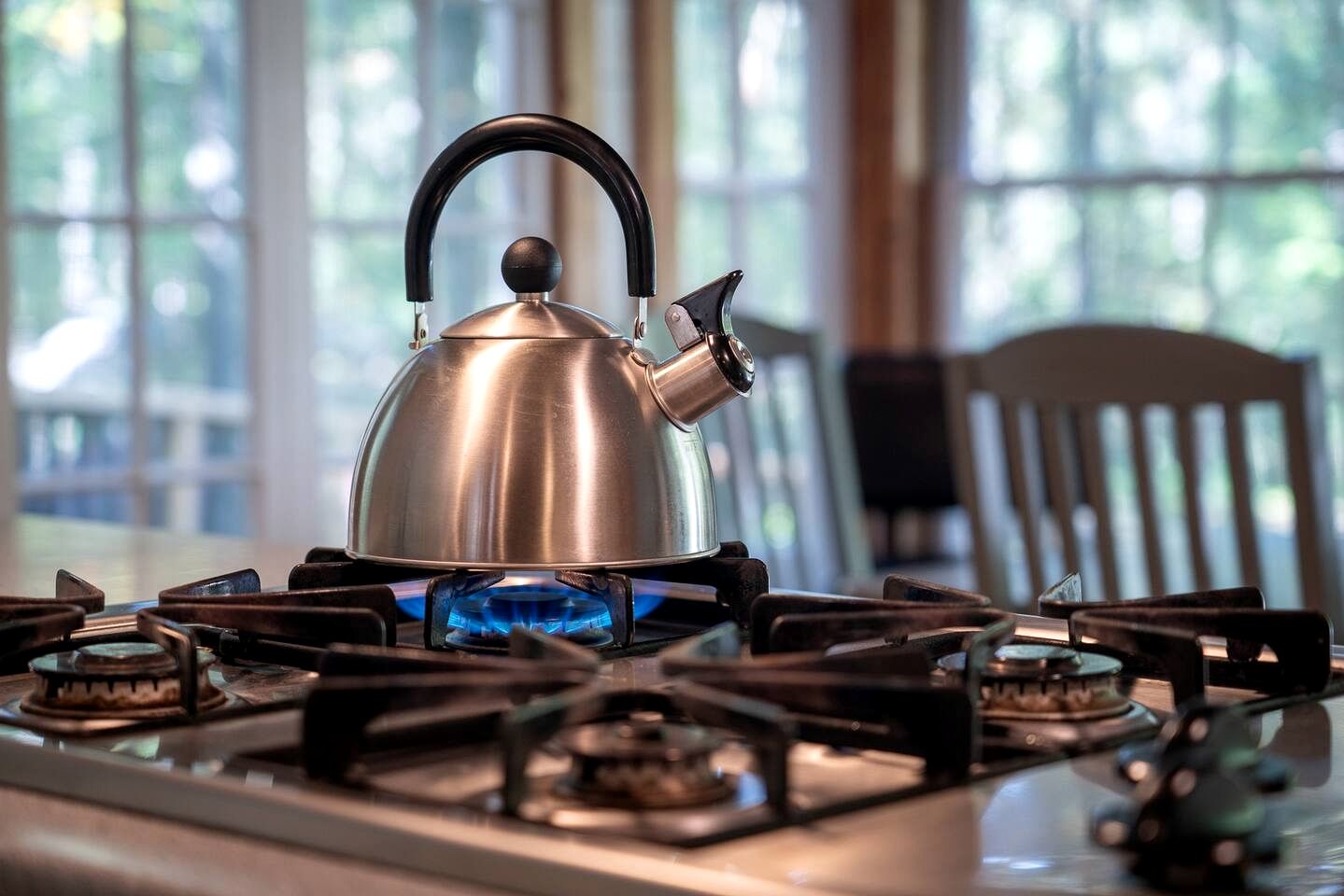 Unique Artistic Cabin Nestled in the Trees for a Peaceful Escape near Chapel Hill, North Carolina