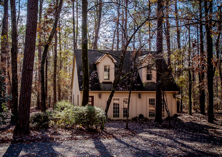 Beautiful Lakeside Cabin near Columbus - Ideal for a Glamping Getaway in Ellaville, Georgia