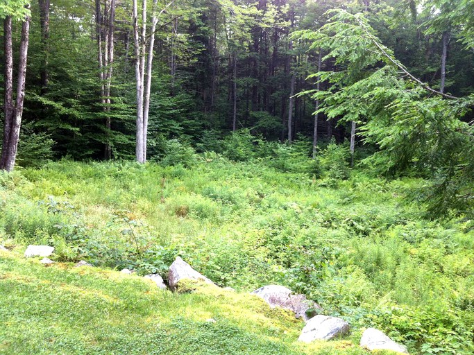 Cabins (Jamaica, Vermont, United States)