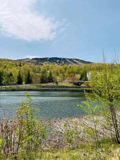 Cottages (United States of America, Stratton, Vermont)