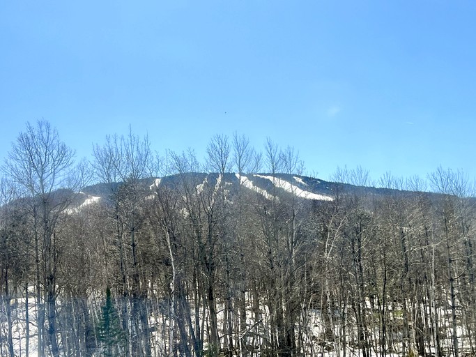 Cabins (United States of America, Stratton, Vermont)