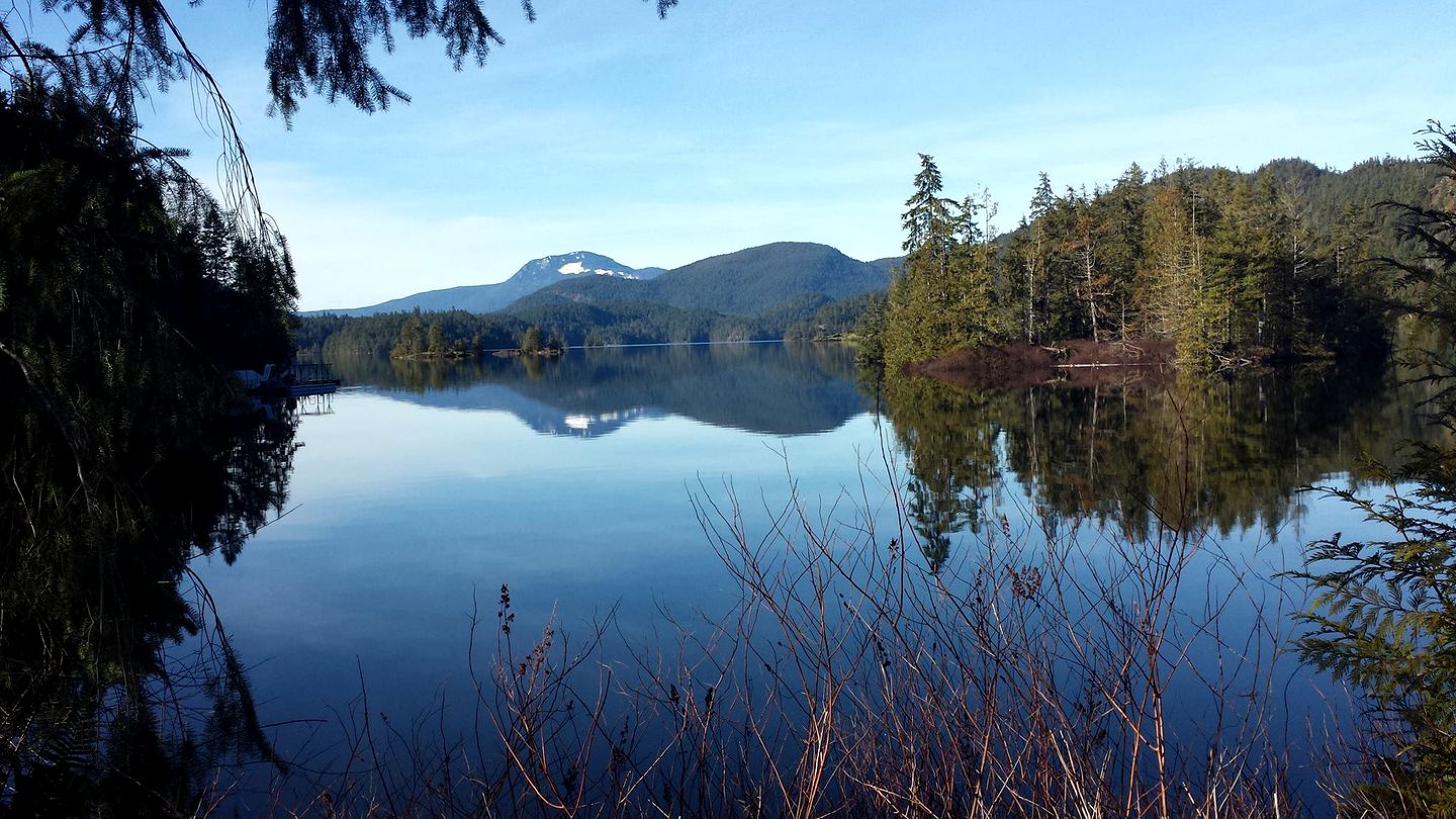 One-Room Cabins for Rent Perfect for Solo Travelers in Egmont, British Columbia