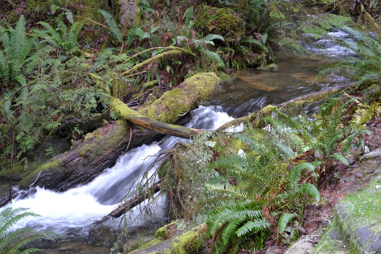 Cabins (Egmont, British Columbia, Canada)
