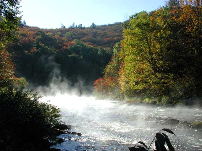 Nature Lodges (Wells, New York, United States)