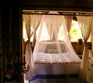 Stunning Bamboo Villa Encircled by Tropical Fauna in Hawaii photo 5