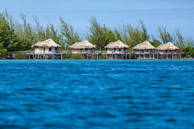 Boats & Floating Homes (Dangriga, Stann Creek District, Belize)