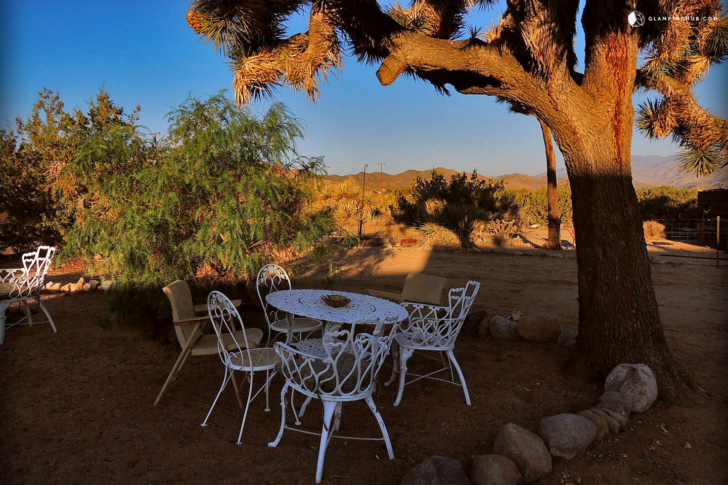 Luxury Camping near Joshua Tree