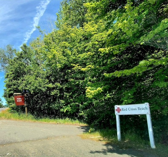 Cabins (United States of America, Greenville, Maine)