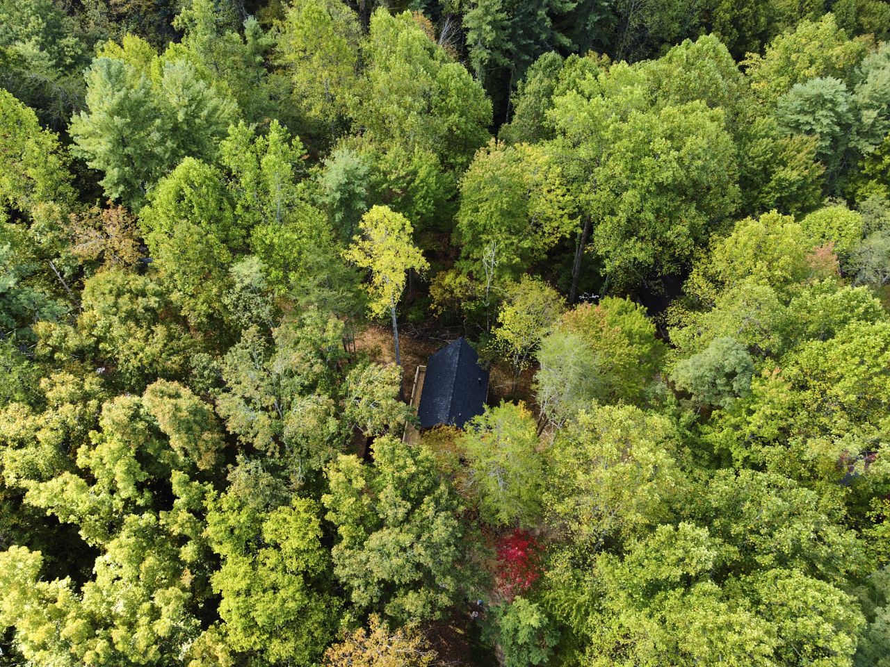 Stunning Cabin Nestled Amidst Trees with Hot-tub in Sevierville, Tennessee