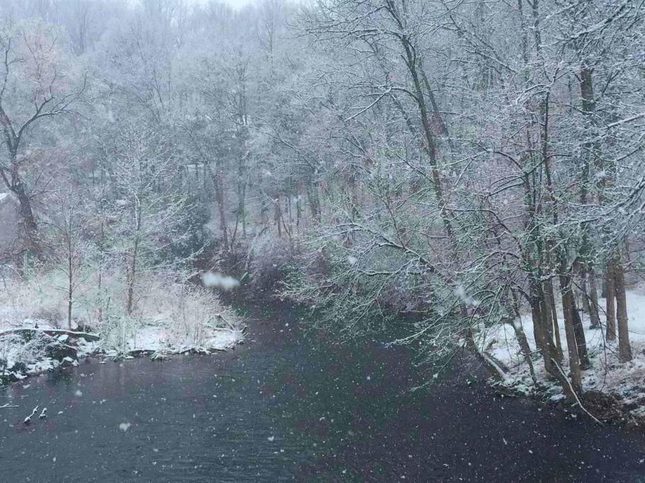 Stunning Cabin Rental with a Hot Tub Overlooking Fishing Creek near Sproul State Forest, Pennsylvania