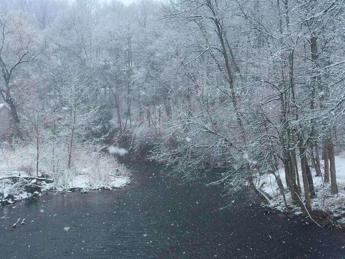 Cabins (Mill Hall, Pennsylvania, United States)