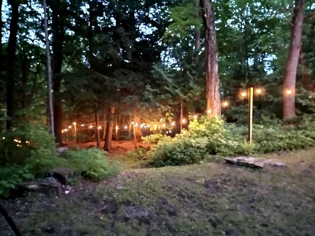 Stunning Cottage with Fire Pit and Private Cinema in Kawartha Lakes, Ontario