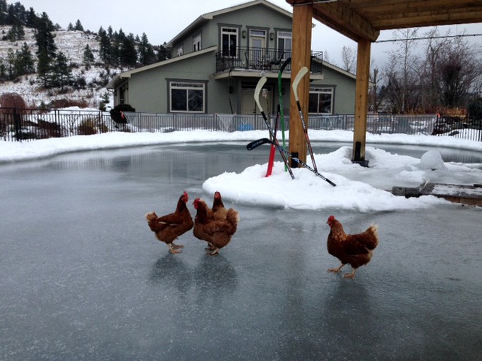 Vacation Rentals (Kaleden, British Columbia, Canada)