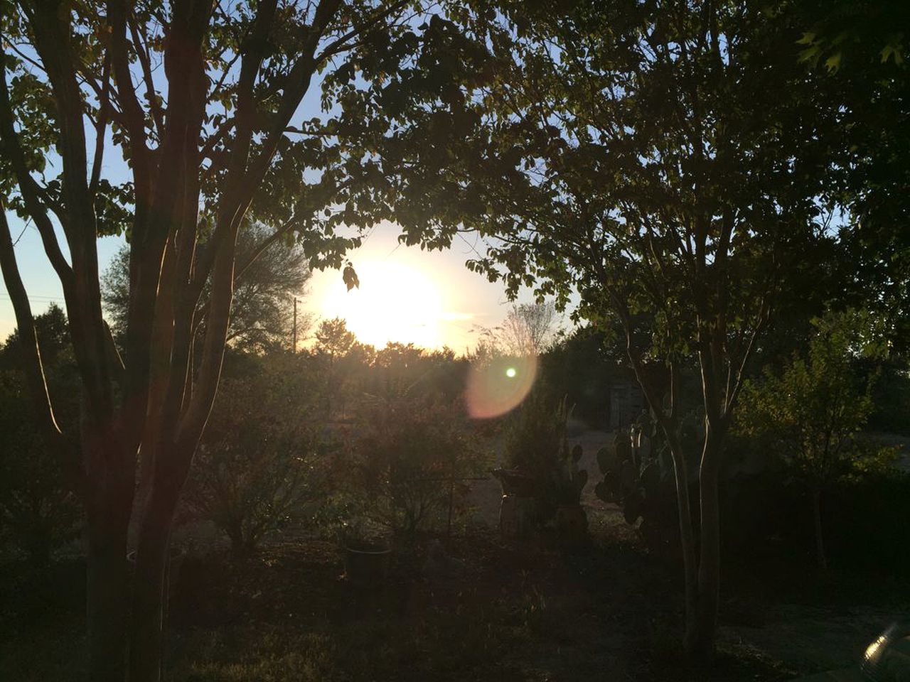 Beautifully Furnished County Cottage Rental for a Vacation in Weatherford, Texas