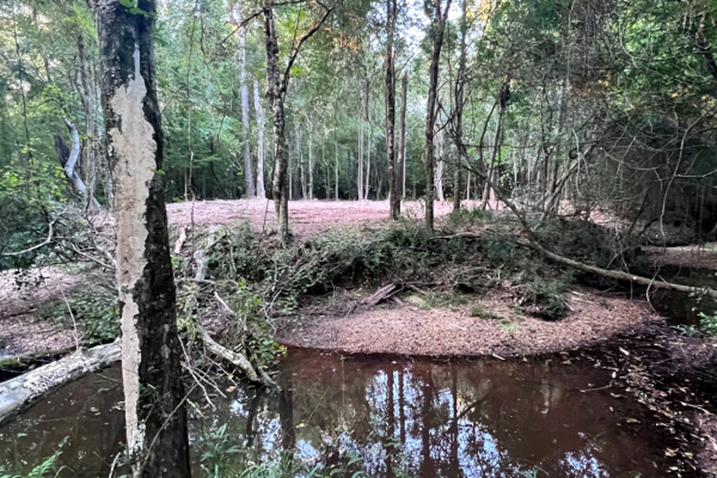 Stunning Creek-side Cabin Rental for Family Friendly Stays in Liberty, Mississippi