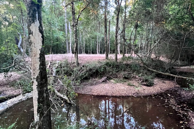 Cabins (United States of America, Liberty, Mississippi)