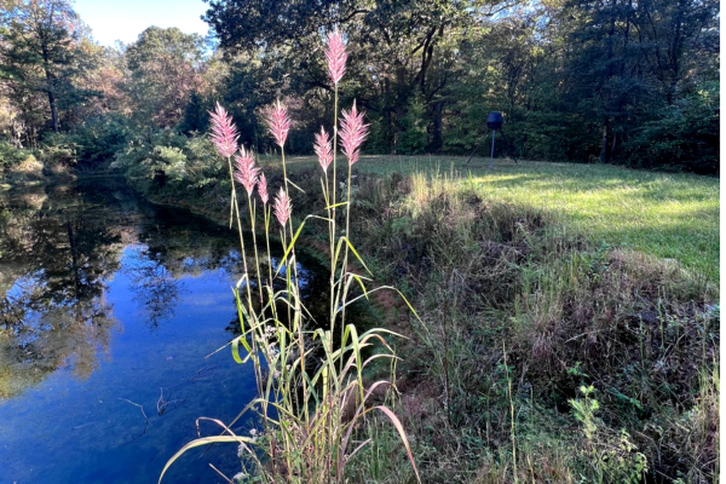 Stunning Creek-side Cabin Rental for Family Friendly Stays in Liberty, Mississippi
