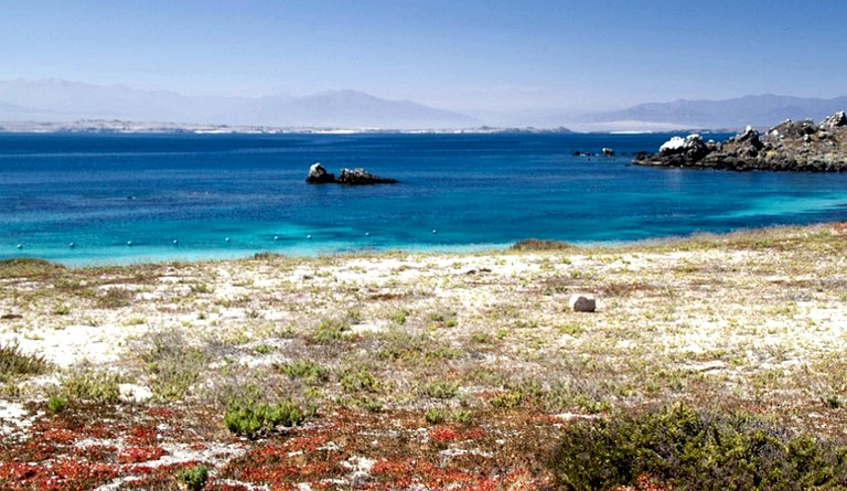 Bubbles & Domes (Punta de Choros, Coquimbo, Chile)