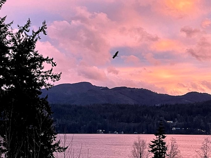 Vacation Rentals (United States of America, Bellingham, Washington)