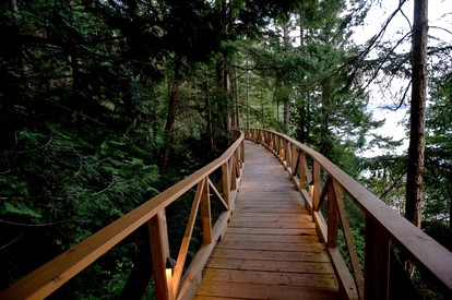 Stunning Luxury Tent Site in British Columbia photo 3