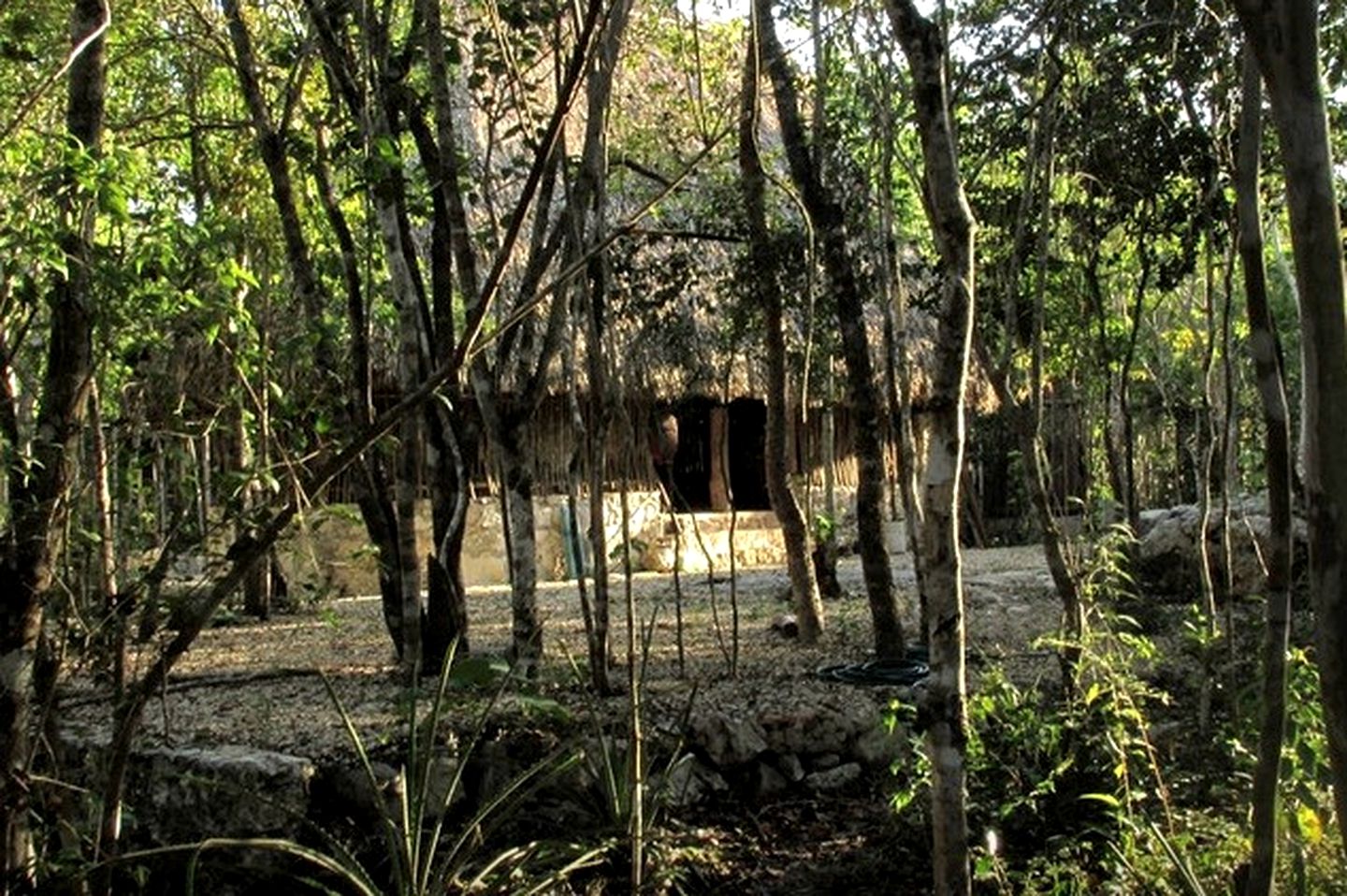 Stunning Mayan Hut Rental on Glamping Site in Tulum, Mexico