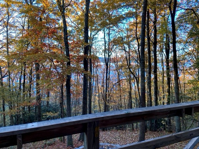 Vacation Rentals (United States of America, Maggie Valley, North Carolina)