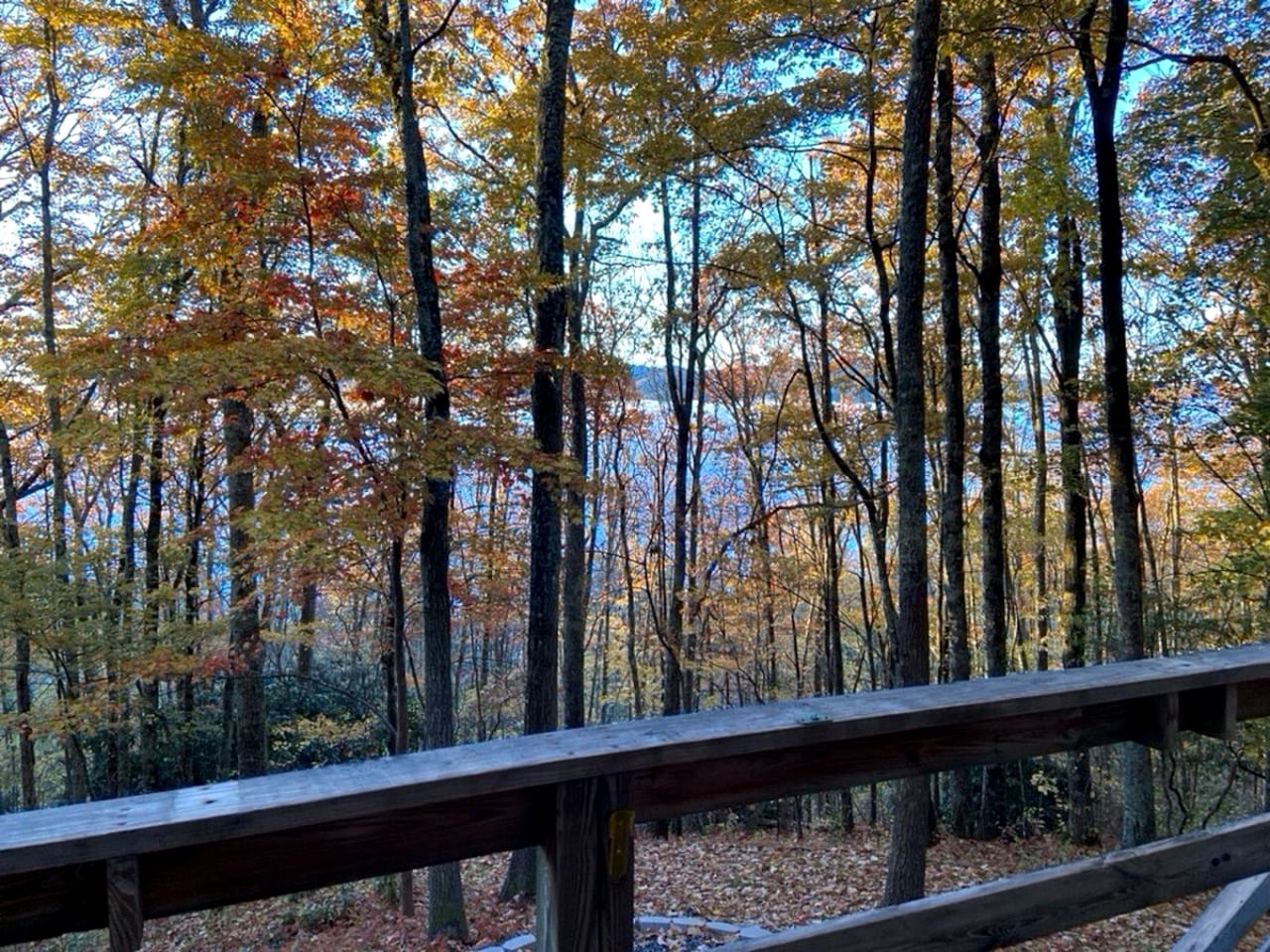 Cozy Group Cabin Surrounded by Nature in North Carolina