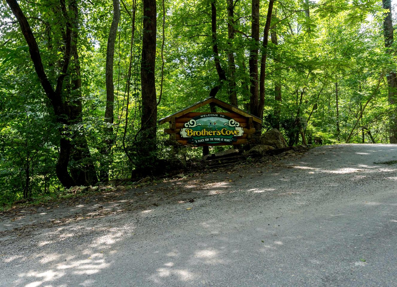 Stunning Smoky Mountain Log Cabin with 270° Views, Luxury Amenities & Hot Tub near Gatlinburg, TN