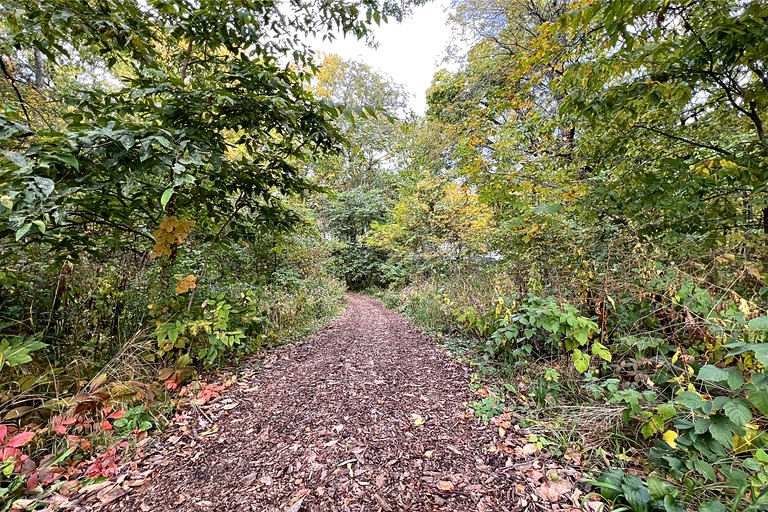 Tented Cabins (United States of America, Des Moines, Iowa)
