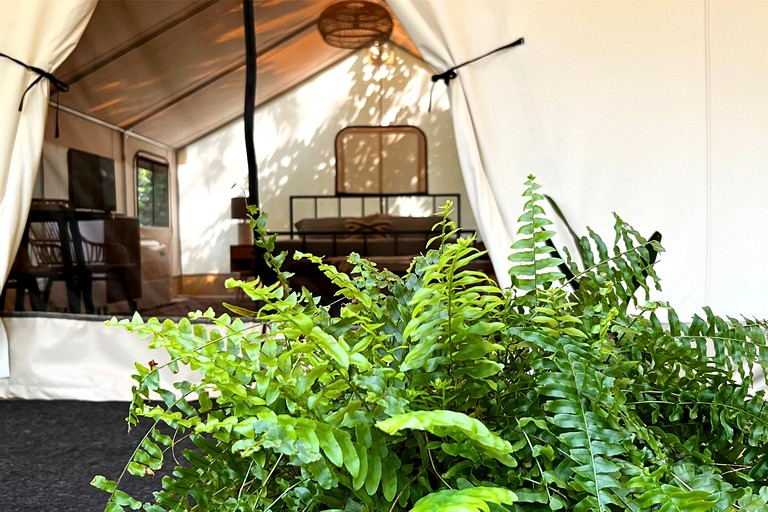 Tented Cabins (United States of America, Des Moines, Iowa)