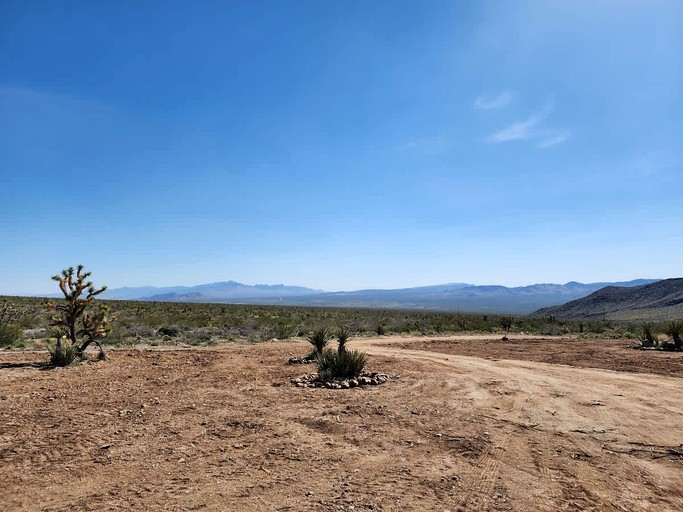Cabins (United States of America, Mohave Valley, Arizona)