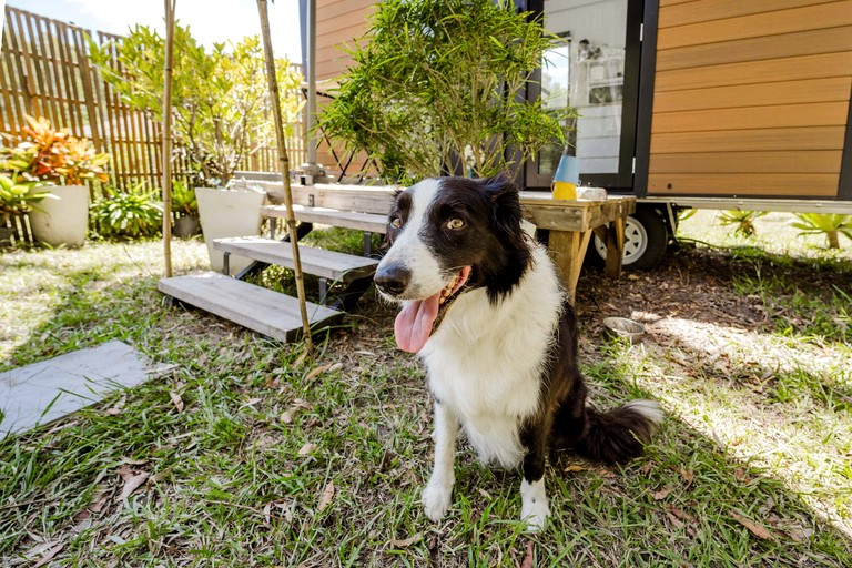 Tiny Houses (Australia, James Creek, New South Wales)
