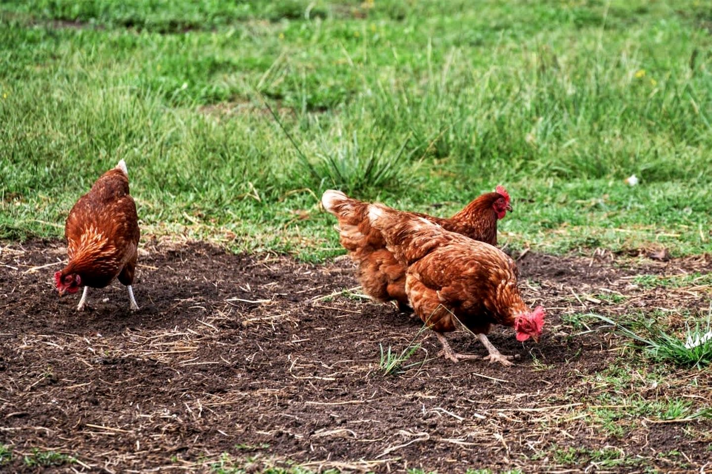 Clarence Farm Stay in James Creek, New South Wales