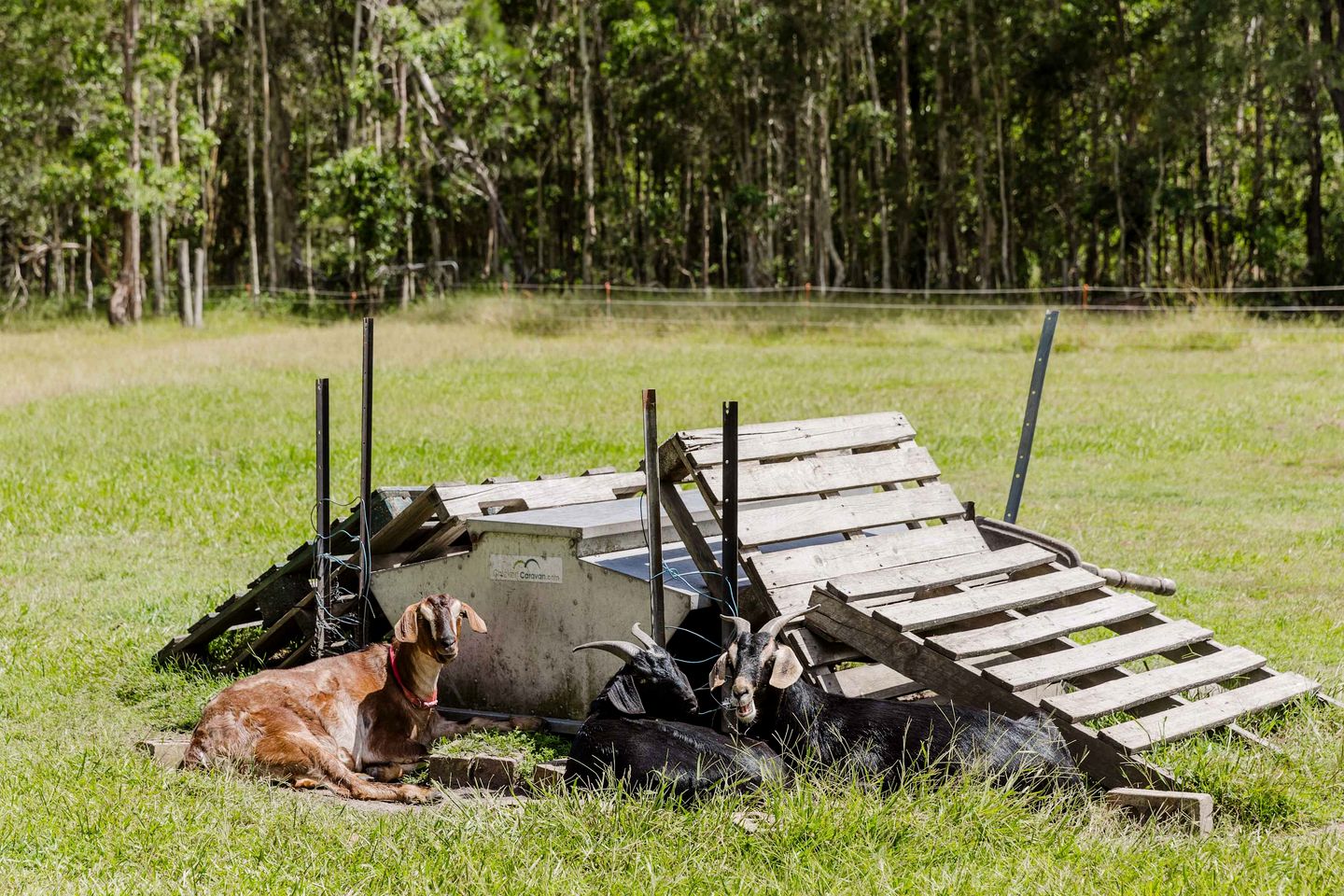 Clarence Farm Stay in James Creek, New South Wales