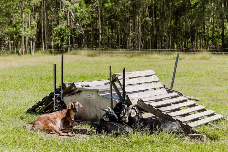 Tiny Houses (Australia, James Creek, New South Wales)