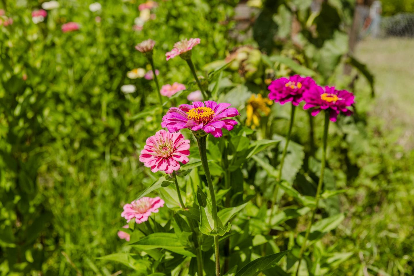 Clarence Farm Stay in James Creek, New South Wales