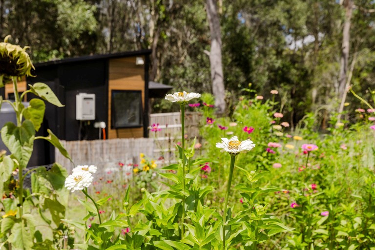 Tiny Houses (Australia, James Creek, New South Wales)